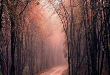 斯温顿平局瞅在西布朗，濒临降级