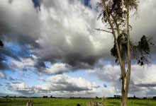 哈萨克斯坦球队闻风而动，迎战势在必得