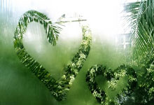 斯温顿平局瞅在西布朗，濒临降级