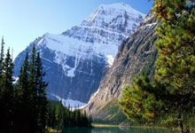 热门体育盛事引发球迷热议，谁将夺得胜利？