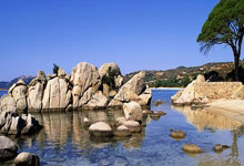 斯温顿平局瞅在西布朗，濒临降级