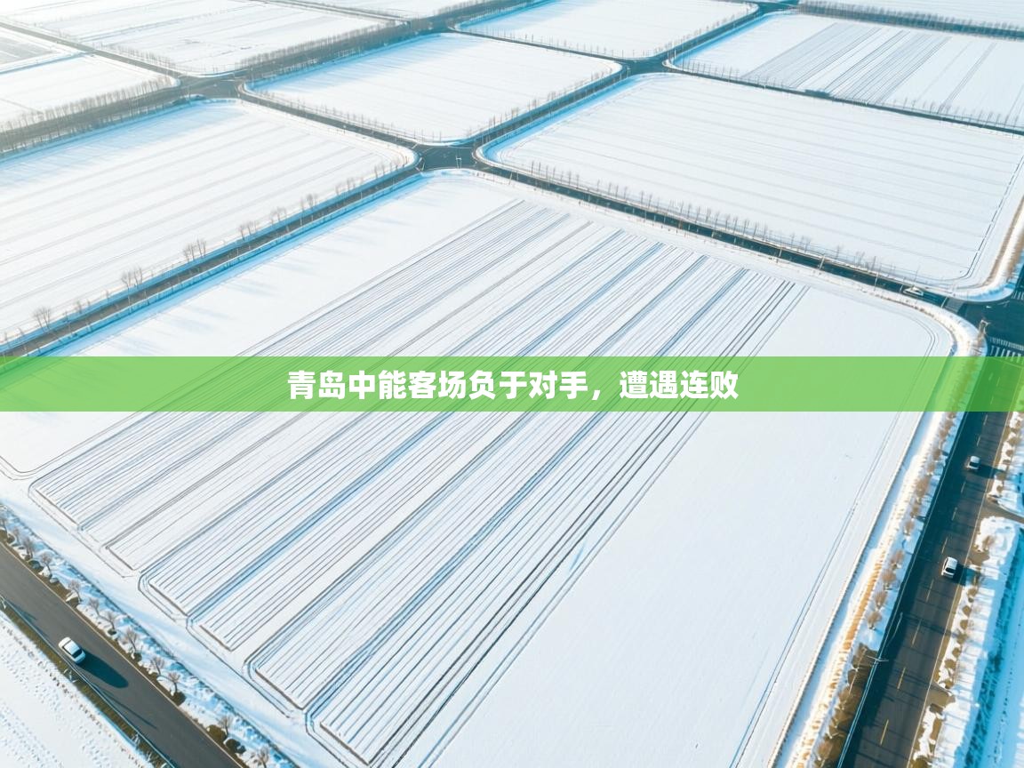 青岛中能客场负于对手，遭遇连败