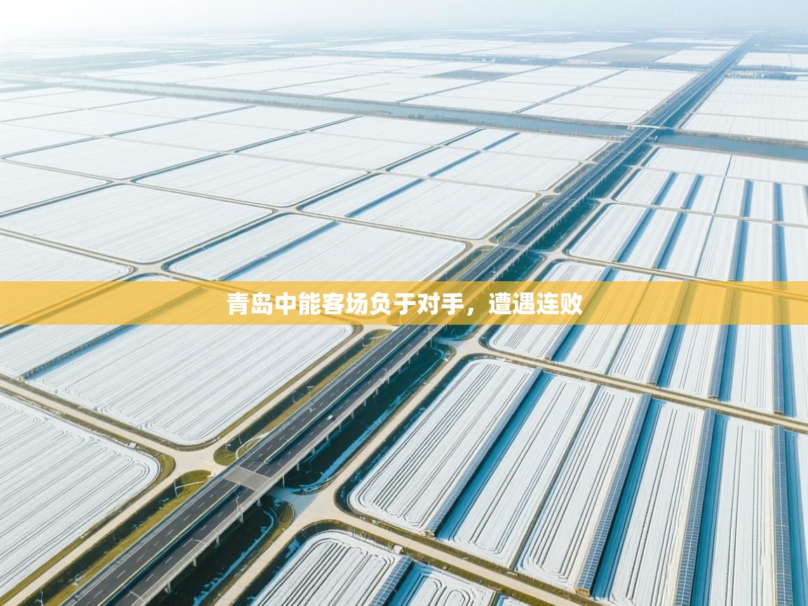 青岛中能客场负于对手,遭遇连败 第2张