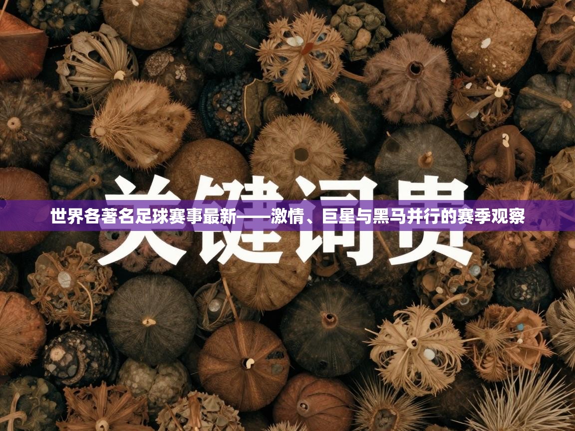 世界各著名足球赛事最新——激情、巨星与黑马并行的赛季观察  第1张